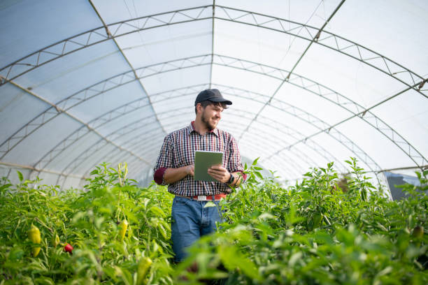 About Kerala Agro Services